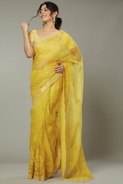 Mango bite candy applique & hand embroidered silk organza saree Only