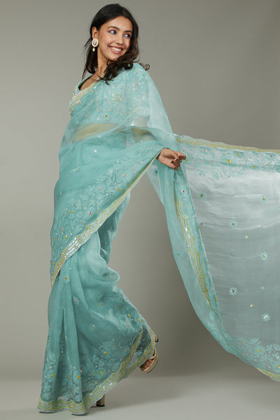 Pepper mint candy applique & hand embroidered silk organza saree only