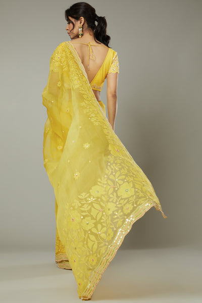 Mango bite candy applique & hand embroidered silk organza saree Only