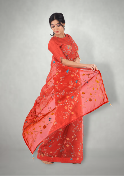 Rust Aari & Mirror Work Saree Only