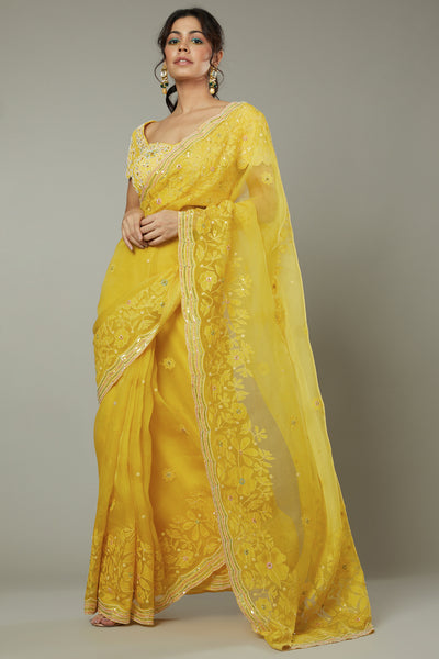 Mango bite candy applique & hand embroidered silk organza saree Only