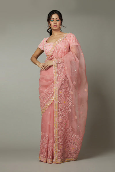 Candy floss applique & hand emboidered silk organza saree set