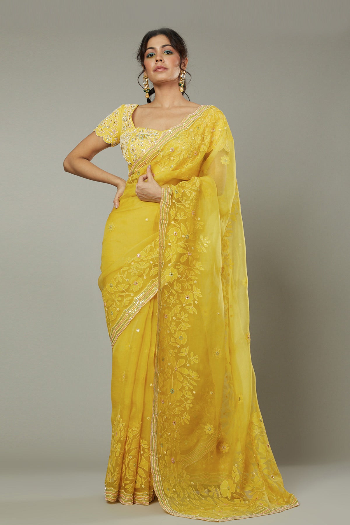 Mango bite candy applique & hand emboidered silk organza saree