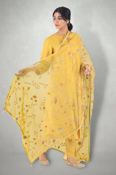 Mustard Aari & Mirror Work Suit Set