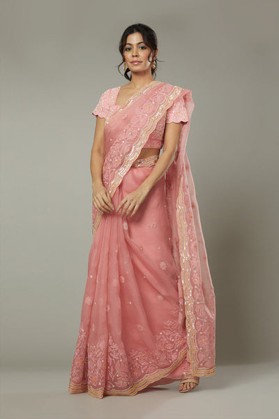 Candy floss applique & hand emboidered silk organza saree  

Saree, Petticoat