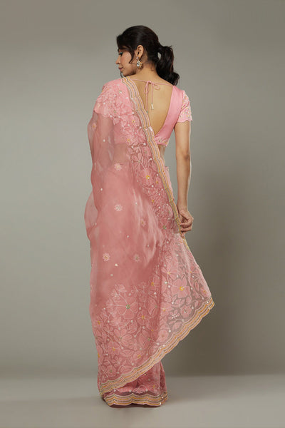 Candy floss applique & hand emboidered silk organza saree  

Saree, Petticoat